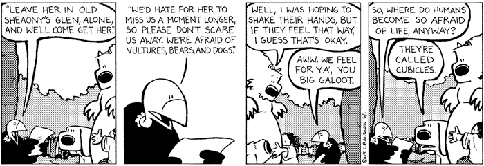 wednesday