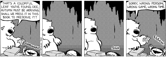 tuesday