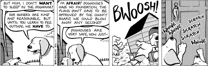 wednesday