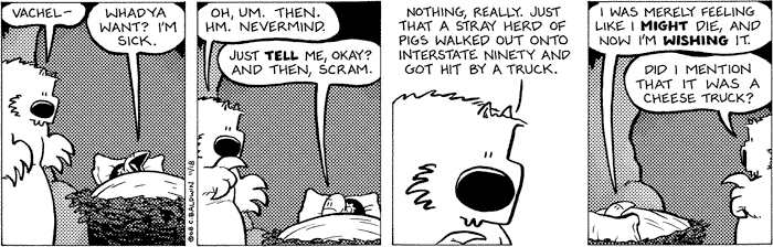tuesday