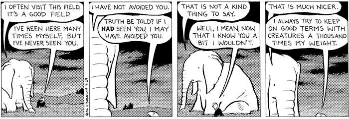 2006-04-24