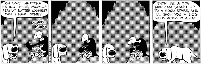 2006-11-27