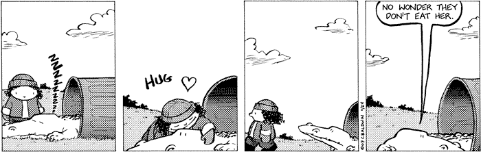 2007-11-24