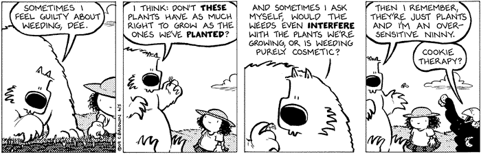 2009-06-05