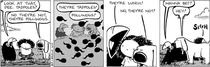 2009-06-22