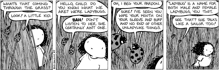 2009-08-05