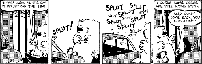 2009-11-28