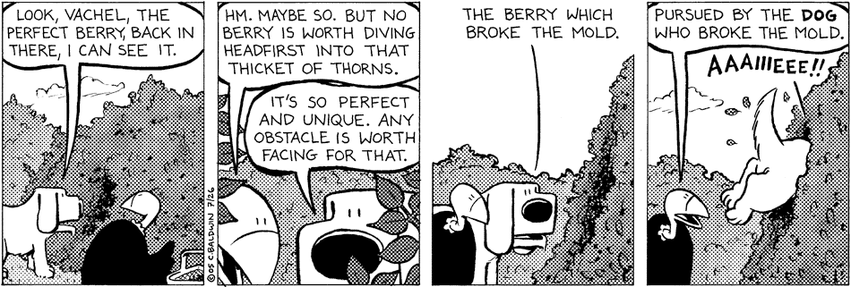 07/26/11 – The Perfect Berry
